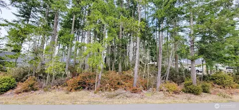 350 E Vine Maple Ln, Union, WA 98592