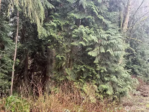 0 325th St NW, Stanwood, WA 98292