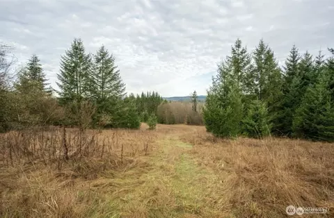 0 Burchett, Onalaska, WA 98570