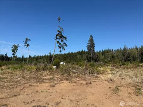 2 Track Rimstone Loop, Belfair, WA 98528