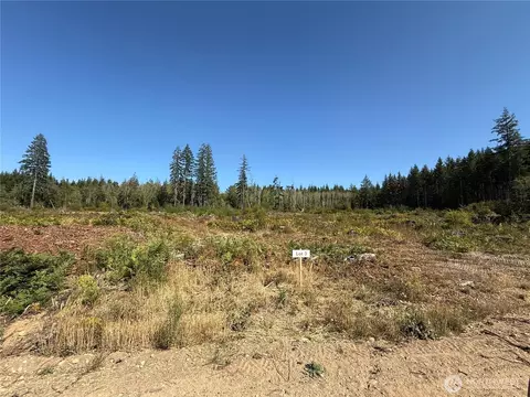 3 Track Rimstone Loop, Belfair, WA 98528