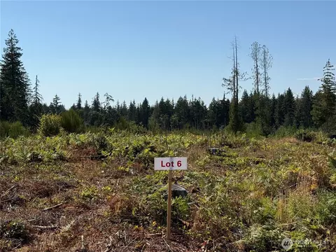 6 Track Rimstone Loop, Belfair, WA 98528