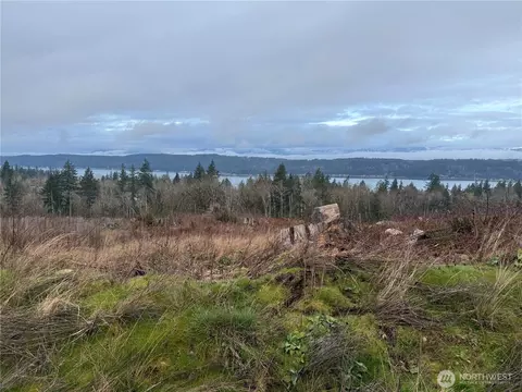 11 Track Rimstone Loop, Belfair, WA 98528