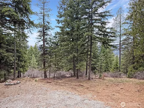 Exterior - 75 Highland Loop, Ronald, WA 98940 photo 10 of 13