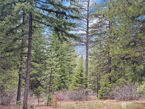 Other - 75 Highland Loop, Ronald, WA 98940 photo 1 of 5