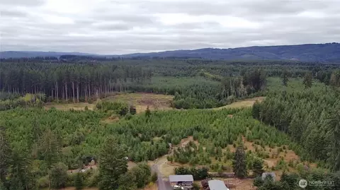 196 Allman Rd, Winlock, WA 98596 photo 8