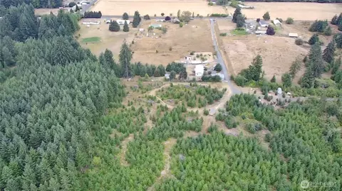 196 Allman Rd, Winlock, WA 98596 photo 5