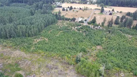 196 Allman Rd, Winlock, WA 98596 photo 3