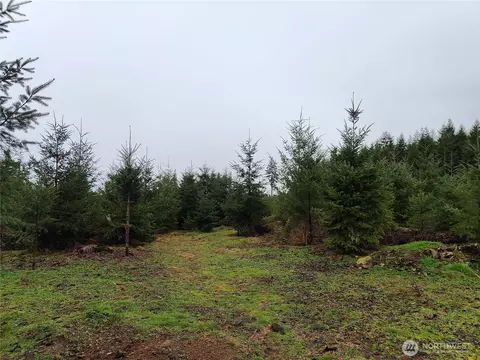 196 Allman Rd, Winlock, WA 98596 photo 12