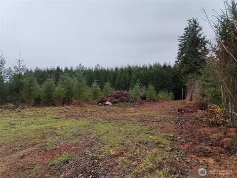 196 Allman Rd, Winlock, WA 98596 photo 9