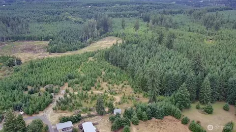 196 Allman Rd, Winlock, WA 98596 photo 6