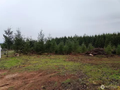196 Allman Rd, Winlock, WA 98596 photo 11