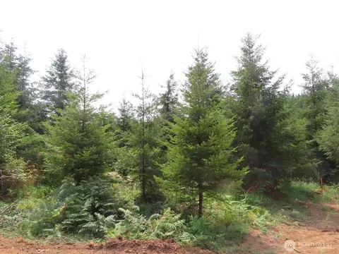 0 Lot D Mill Creek Ln, Longview, WA 98632