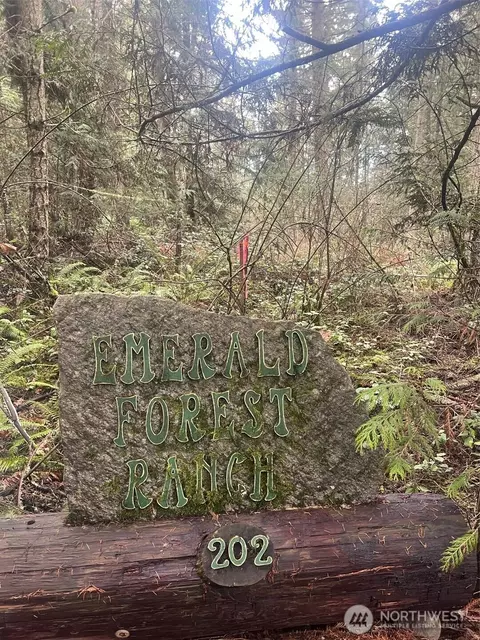 Other - 202 W Emerald Forest Ln, Sequim, WA 98382 photo 7 of 9