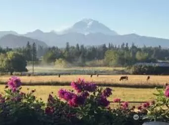 Other - 1101 Wells St, Enumclaw, WA 98022 photo 6 of 6