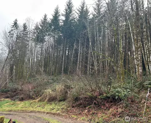 514 Berry Rd, Adna, WA 98532