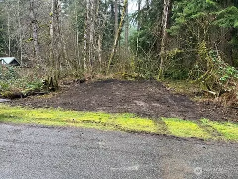 31319 555th St E, Ashford, WA 98304