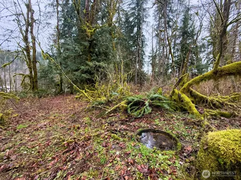 134 Tilton Dr, Morton, WA 98356