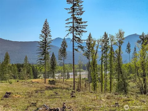 0 Craig Rd #LOT A1, Packwood, WA 98361