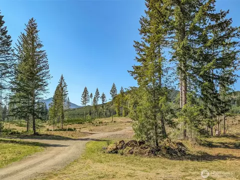 0 Craig Rd #LOT B3, Packwood, WA 98361