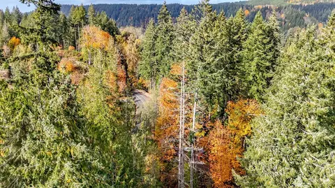 18313 Patterson Rd E, Orting, WA 98360 photo 23