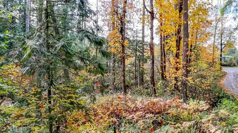 18313 Patterson Rd E, Orting, WA 98360 photo 4