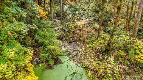 18313 Patterson Rd E, Orting, WA 98360 photo 21