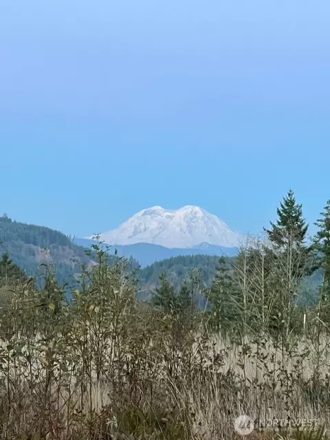 0 0 Salmon Creek Rd #0, Mossyrock, WA 98564