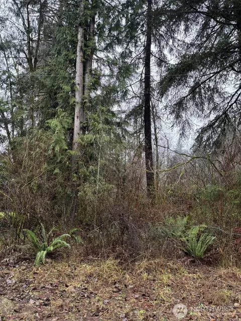 0 No Address, Elma, WA 98541