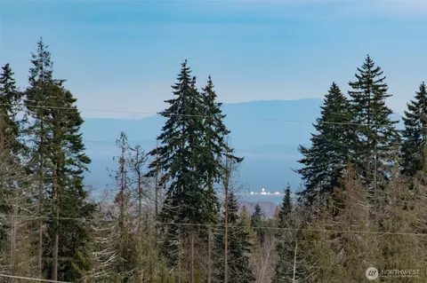 View/Area - 1515 Olson Rd, Sequim, WA 98382 photo 3 of 5
