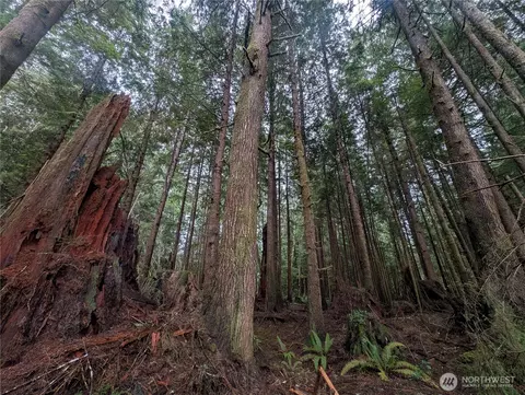 9991 Quillayute Rd, Forks, WA 98331