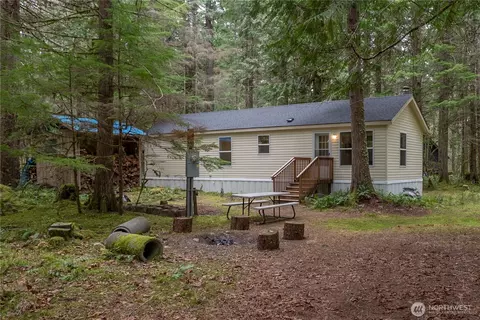 56514 383rd Avenue Ct E, Ashford, WA 98304