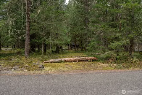 38313 566th Street Ct E, Ashford, WA 98304