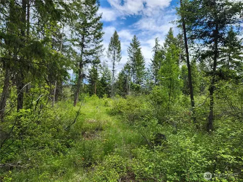 318 Rockabye Ln, Curlew, WA 99118