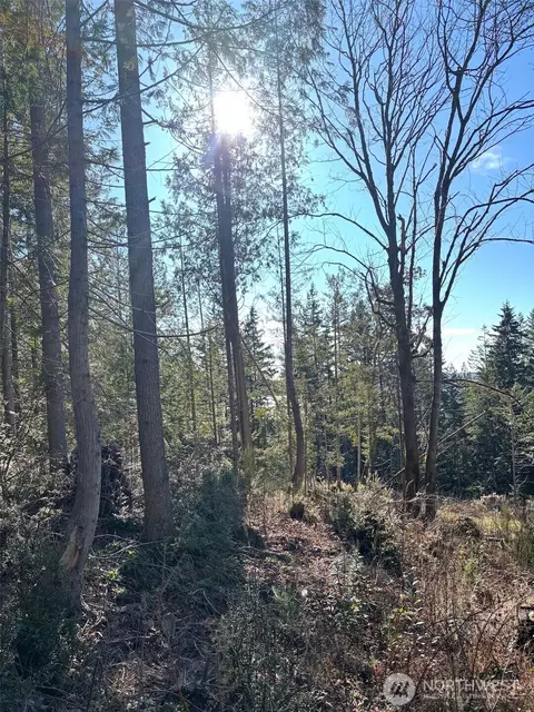 1 Nka Yashi Rd, Brinnon, WA 98320