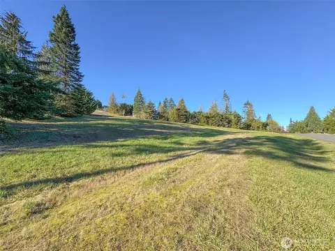 9999 Doe Run Rd, Sequim, WA 98382 photo 7