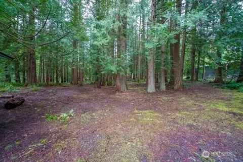 24226 SE 378th St, Enumclaw, WA 98022 photo 22