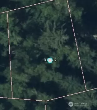 31512 Mt Tahoma Canyon Rd E, Ashford, WA 98304