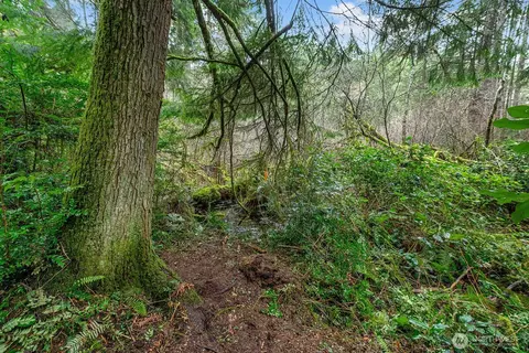 0 SW 220th St, Vashon, WA 98070