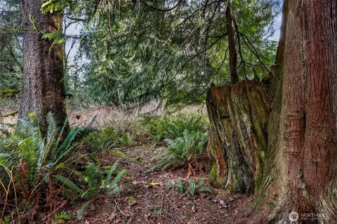 6657 N Fruitdale Rd, Sedro Woolley, WA 98284