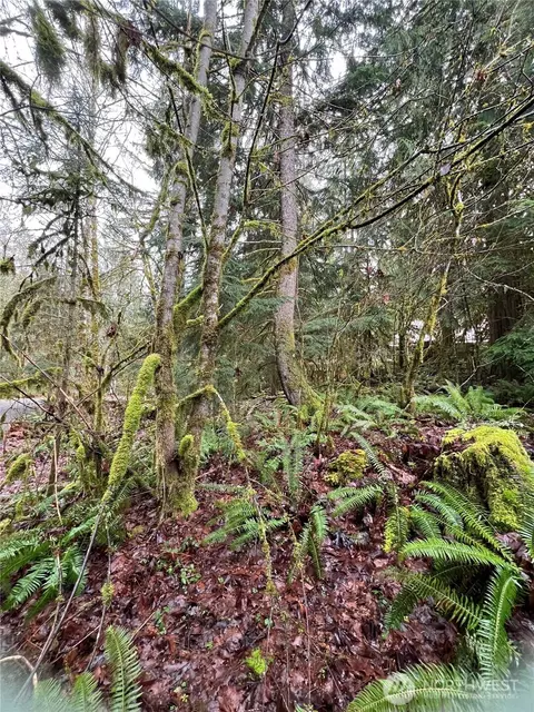 15026 Iceberg Rd, Glacier, WA 98244