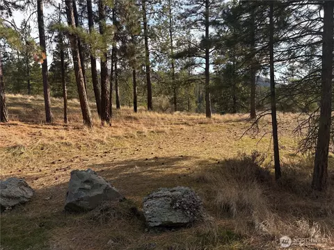 2 Mist Lake Rd, Tonasket, WA 98855