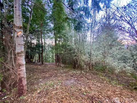 0 Chelsamish Dr, Sequim, WA 98382 photo 7