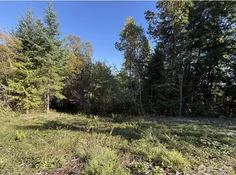 0 Chelsamish Dr, Sequim, WA 98382 photo 4
