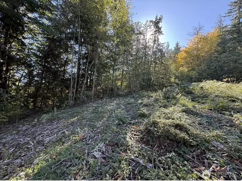 0 Chelsamish Dr, Sequim, WA 98382 photo 22