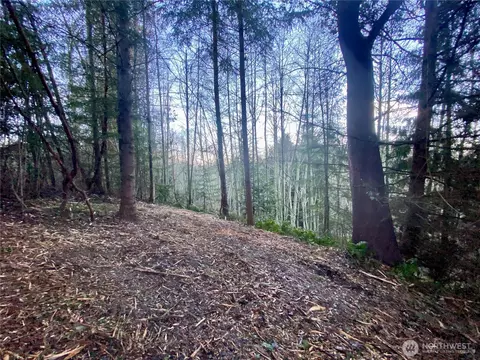 0 Chelsamish Dr, Sequim, WA 98382 photo 10