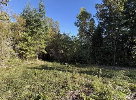 0 Chelsamish Dr, Sequim, WA 98382 photo 16