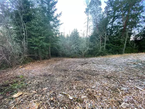 0 Chelsamish Dr, Sequim, WA 98382 photo 6