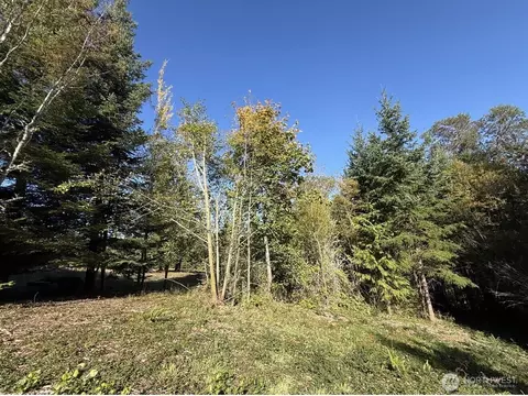 0 Chelsamish Dr, Sequim, WA 98382 photo 21