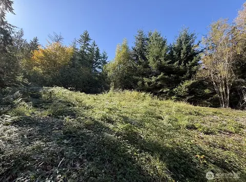 0 Chelsamish Dr, Sequim, WA 98382